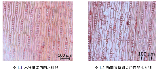 1570757279522707.png image.png