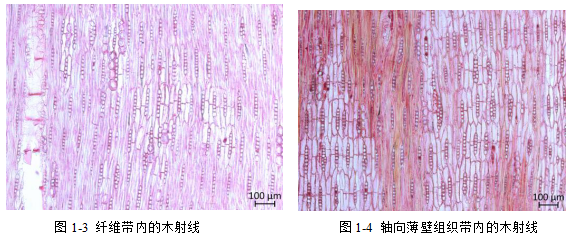 1570757520106684.png image.png